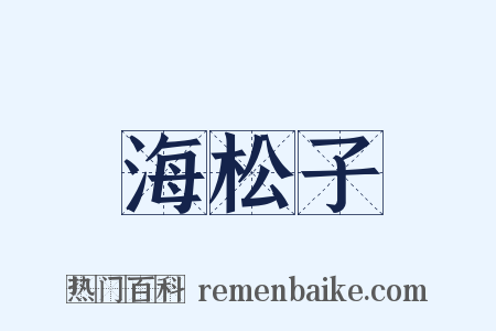 海松子是什么意思的图片